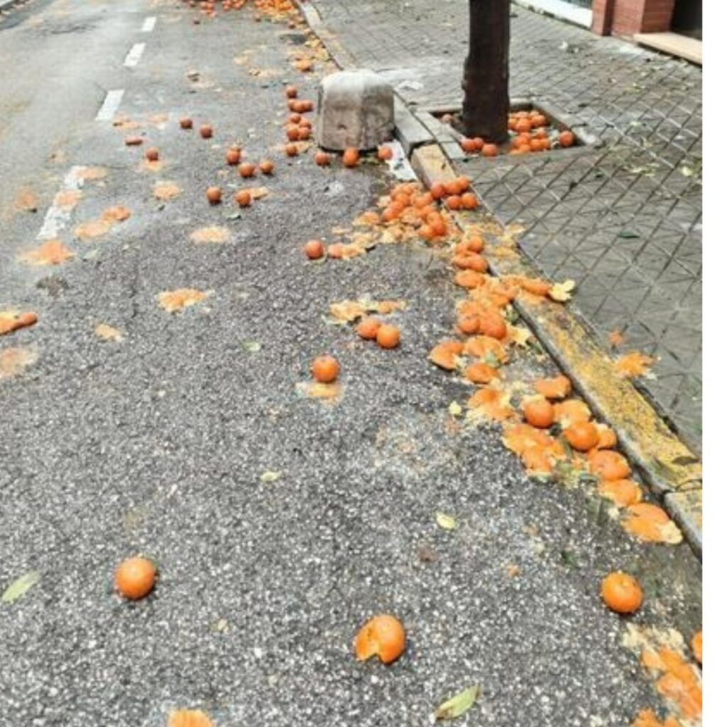 Crónica de una mermelada anunciada: El Fontanal, año tras año en el olvido